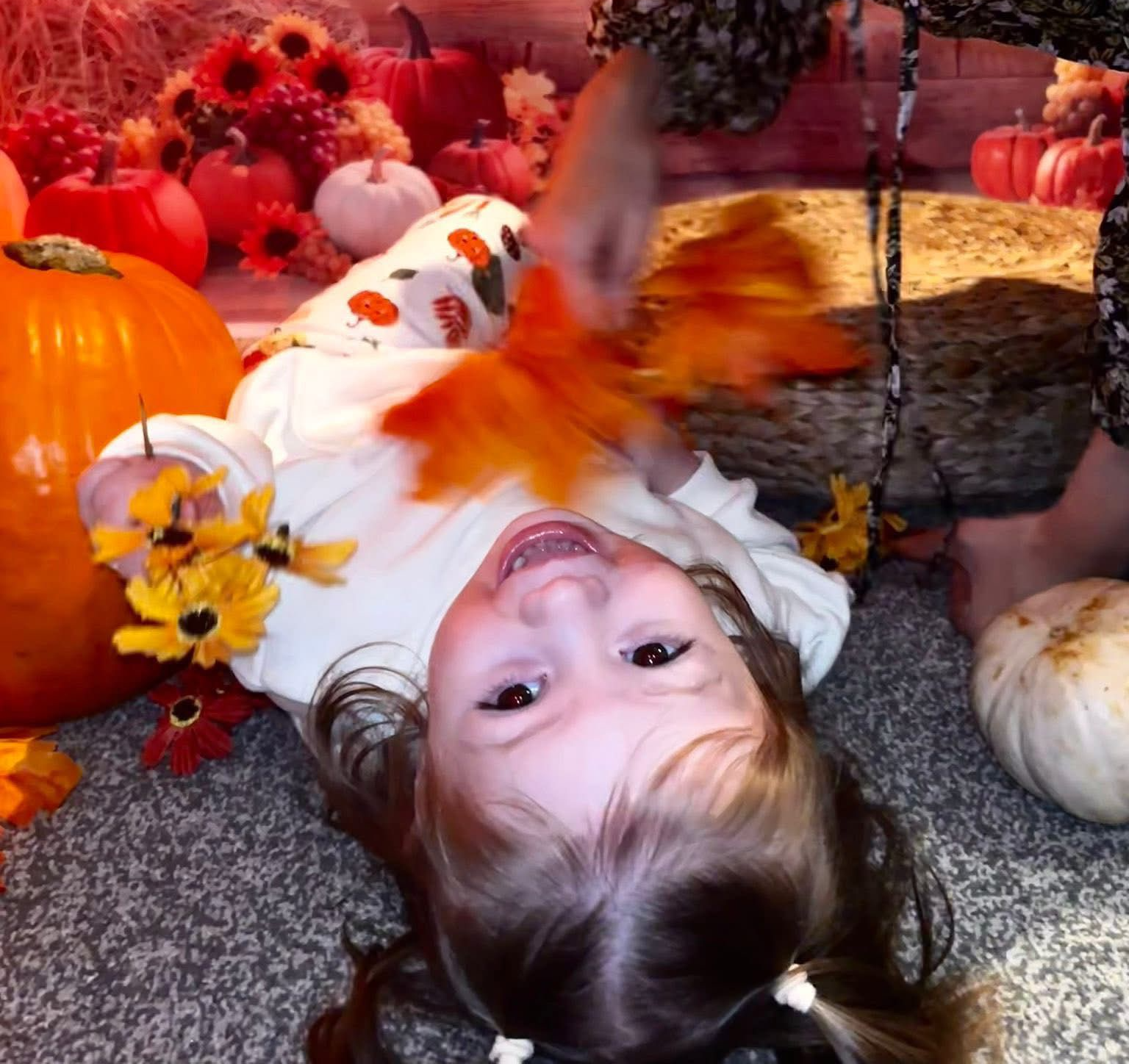 Happy time play time at Cwmdu